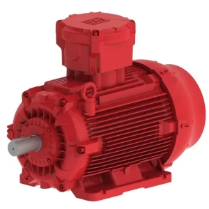 IEC Hazardous Area Motors