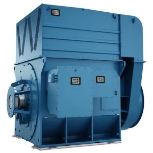 Synchronous Motors